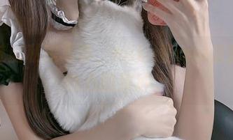 黑翼魅魔私房写真，miko酱ww直接戳中内心的那种。