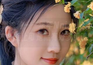 林间小屋涂鸦——年年Nnian的免费套图，木头板上可是藏有好多灵魂的喔