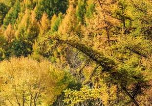 爱丝 – 欣杨的高清旅拍：山水有相逢，害羞却不示弱！